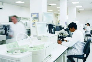 玫瑰綻放富陽，國妝筑夢未來 記杭州好公司的民族品牌之路